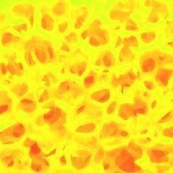 Esponja Piedra Alemana - Imagen 2