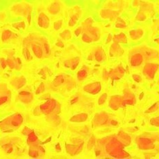 Esponja Piedra Alemana - Imagen 2