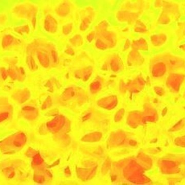 Esponja Piedra Alemana - Imagen 2